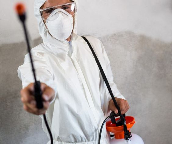 افضل شركة مكافحة حشرات ورش المبيدات والتخلص من القوارض والآفات الضارة نوران لمكافحة الحشرات ورش المبيدات وتعقيم المنازل