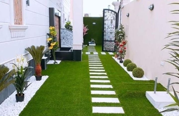 شركة تنسيق حدائق بحى القيروان الرياض