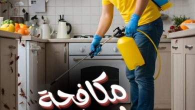 شركة مكافحة حشرات ورش مبيدات برابغ