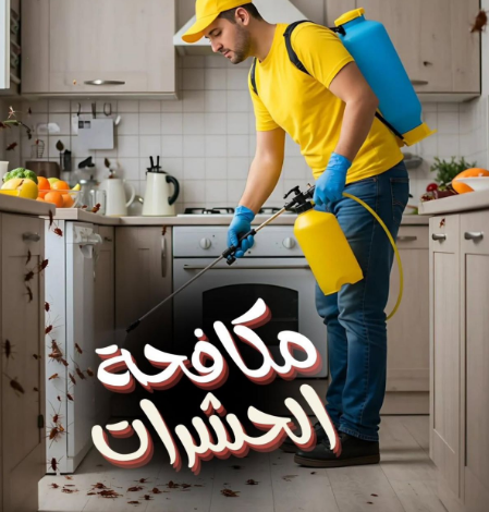 شركة مكافحة حشرات ورش مبيدات برابغ