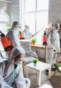 شركة مكافحة حشرات ورش مبيدات برابغ