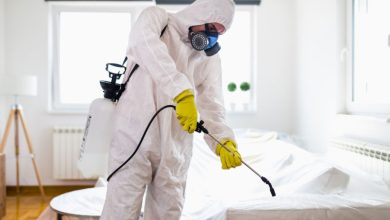 شركة مكافحة ورش مبيدات بالدوادمي