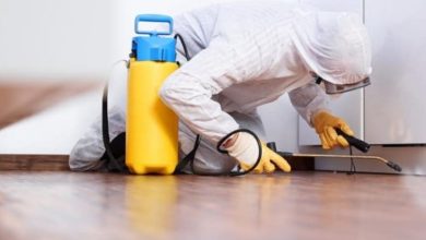 شركة مكافحة ورش مبيدات بالمبرز